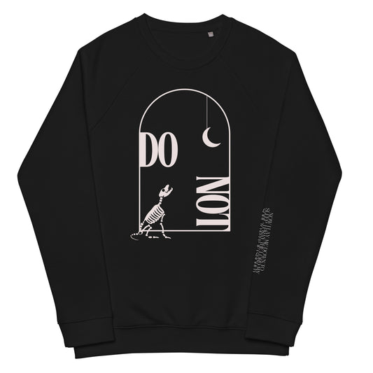 DISTURB: Witch Delivery Unisex Raglan Sweatshirt